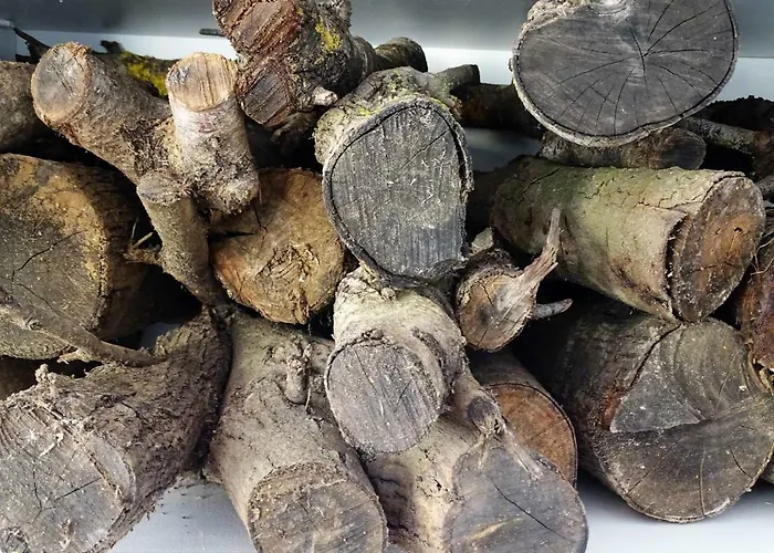 Focolare Διαμέρισμα *